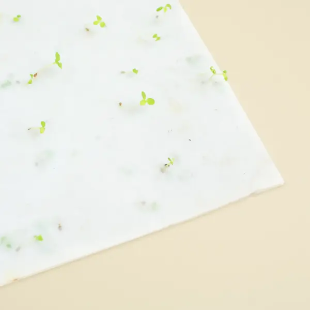 Carnet écologique ensemencé fleurs multicolores